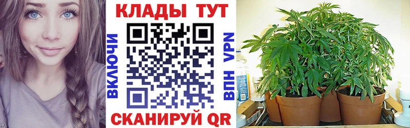 Как найти наркотики Куртамыш АМФ  МЕФ  Кокаин  ГАШИШ  Бошки Шишки 