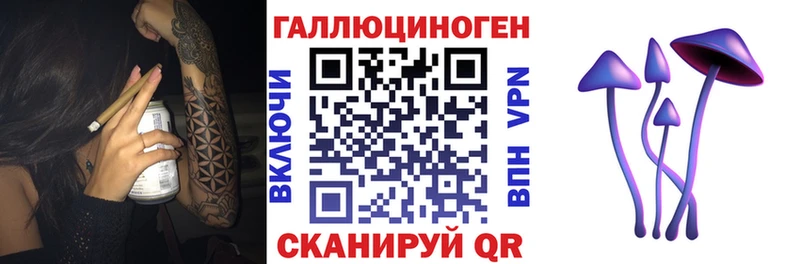 цены наркотик  Куртамыш  Галлюциногенные грибы Cubensis 